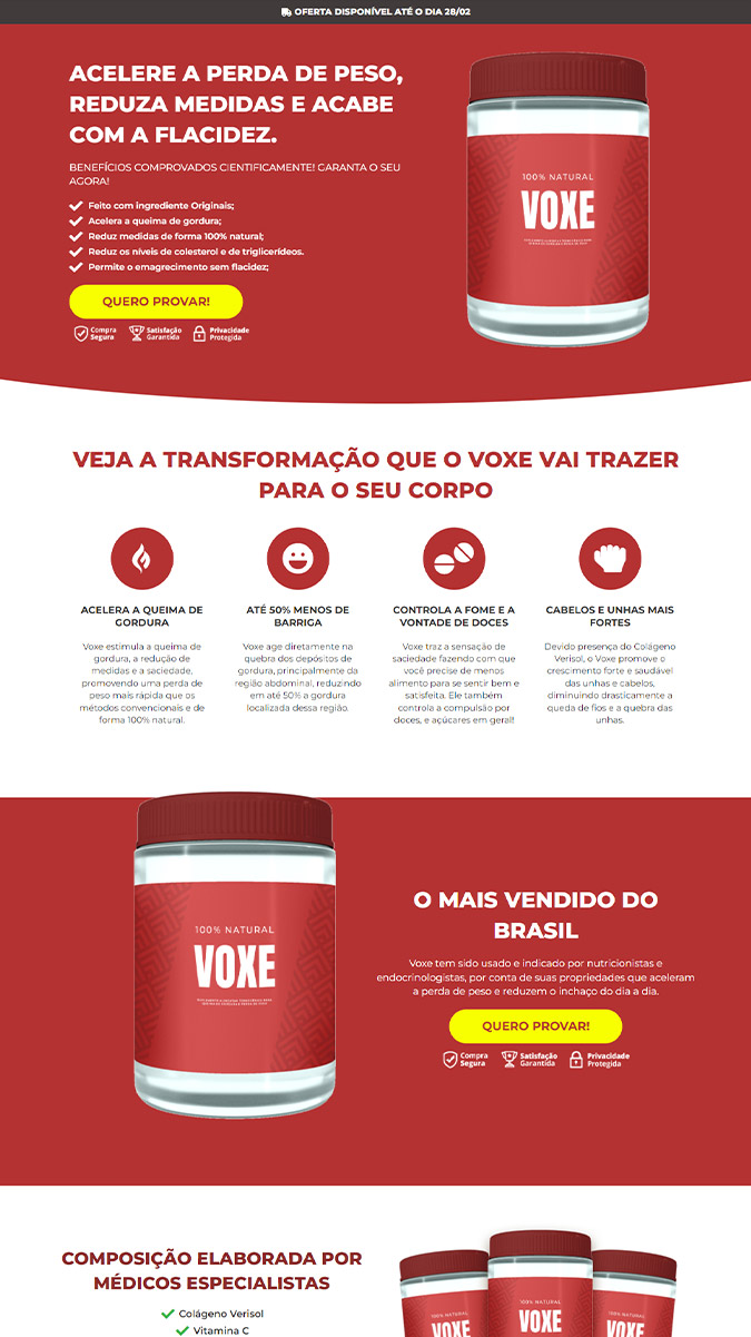 53-modelo-voxe.jpg